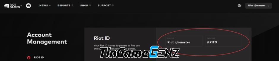 Đổi tên người chơi LMHT thành Riot ID: 'Thẻ đổi tên' có giá 10 USD.