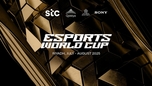 "Đội Tuyển Esports Việt Nam: Hành Trình Đến World Cup 2025"