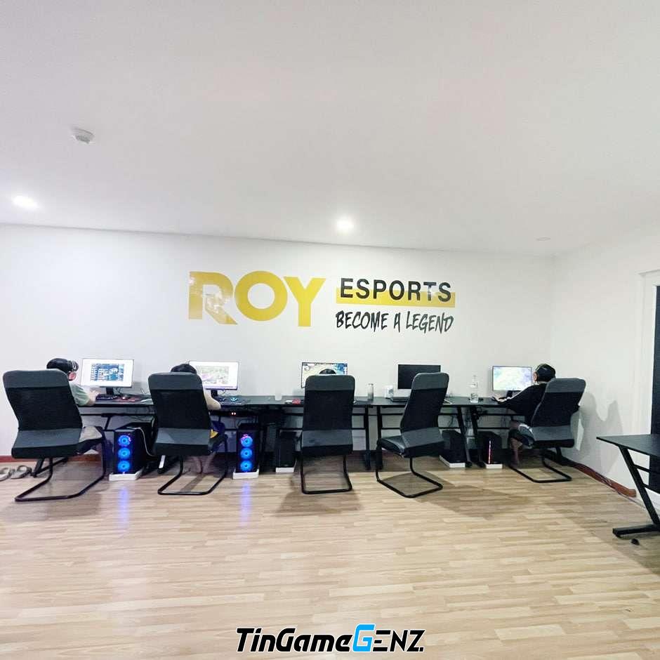 ROY Esports và mục tiêu phát triển Esports tại Việt Nam