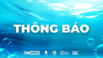 Team Whales chấm dứt hợp đồng và tuyển thủ lên tiếng