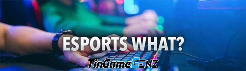 Tóm tắt lại các trò chơi Esports FPS trực tuyến có đông người tham gia.