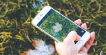 Biến iPhone thành Máy Ảnh SLR: Hướng Dẫn Tối Ưu Hóa Chất Lượng Hình Ảnh dễ Dàng Nhất!
