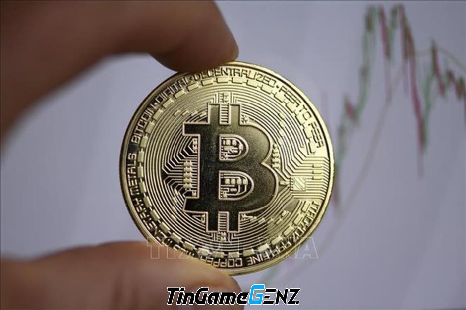 Bitcoin tăng giá kỷ lục: Đầu cơ hay đầu tư?