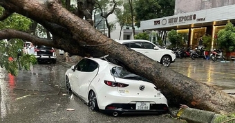 "Bù đắp thiệt hại ô tô bị cây đổ do bão Yagi: Hướng dẫn chi tiết và các bước cần thực hiện"