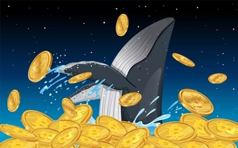 "Chuyển động bất ngờ: 80.000 Bitcoin 