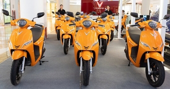 "Cuộc Đua Logistics Xanh: VinFast, Selex, Dat Bike, Yadea, Pega và Những Đổi Mới Đột Phá Trong Thế Giới Xe Máy Điện"