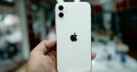 Giá iPhone 11 Tháng 11/2024: Cập Nhật Mới Nhất về Giảm Giá Cuối Vòng Đời!