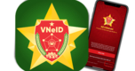 "Giấy phép lái xe điện tử VNeID bị tước: Có thể sử dụng bản cứng khi vi phạm giao thông?"