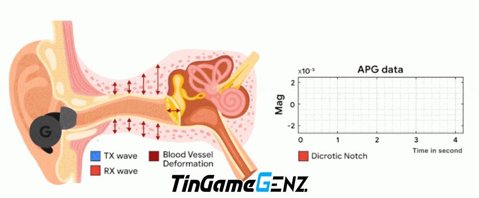 Google biến tai nghe chống ồn thành máy theo dõi nhịp tim.