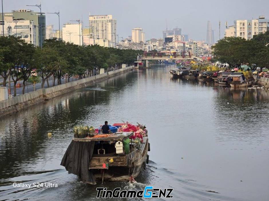 Hoa xuân 