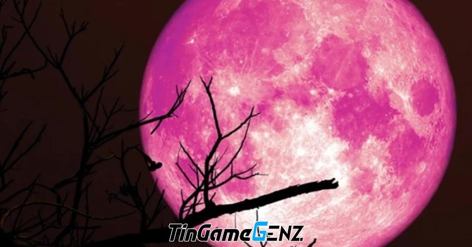 Khám Phá Bí Ẩn Mặt Trăng: Những Phát Hiện Mới Gây Chấn Động!