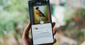 "Khám Phá Bidoup - Núi Bà Với Galaxy S25 Series và Trợ Lý AI Gemini Live: Trải Nghiệm Du Lịch Độc Đáo"