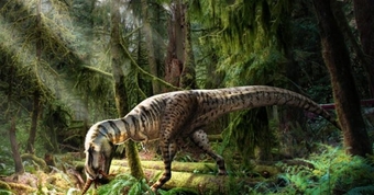 "Khám Phá Loài Khủng Long Mới: Người Họ Hàng Gần Gũi Với T. Rex Được Phát Hiện!"