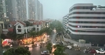 "Khẩn Cấp: Hơn 29 Triệu Tin Nhắn Zalo Được Gửi Đến Người Dân Trước Siêu Bão Wipha"