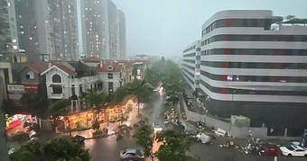 "Khẩn Cấp: Hơn 29 Triệu Tin Nhắn Zalo Được Gửi Đến Người Dân Trước Siêu Bão Wipha"