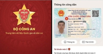 "Những Trường Hợp Dẫn Đến Việc Khóa Căn Cước Điện Tử Trên VNeID: Bạn Cần Biết"