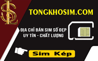 "Sim Kép: Khám Phá Dãy Số Đối Xứng Dễ Nhớ Cho Game Thủ"