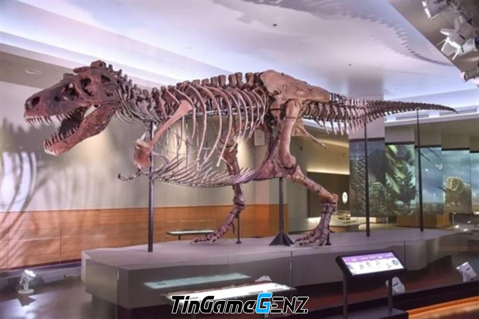 Tại sao khủng long ăn thịt Tyrannosaurus có chi trước nhỏ?