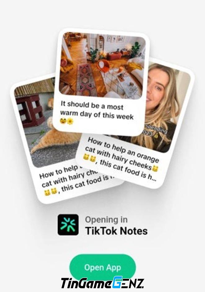 TikTok sắp ra mắt ứng dụng mới đe dọa Instagram