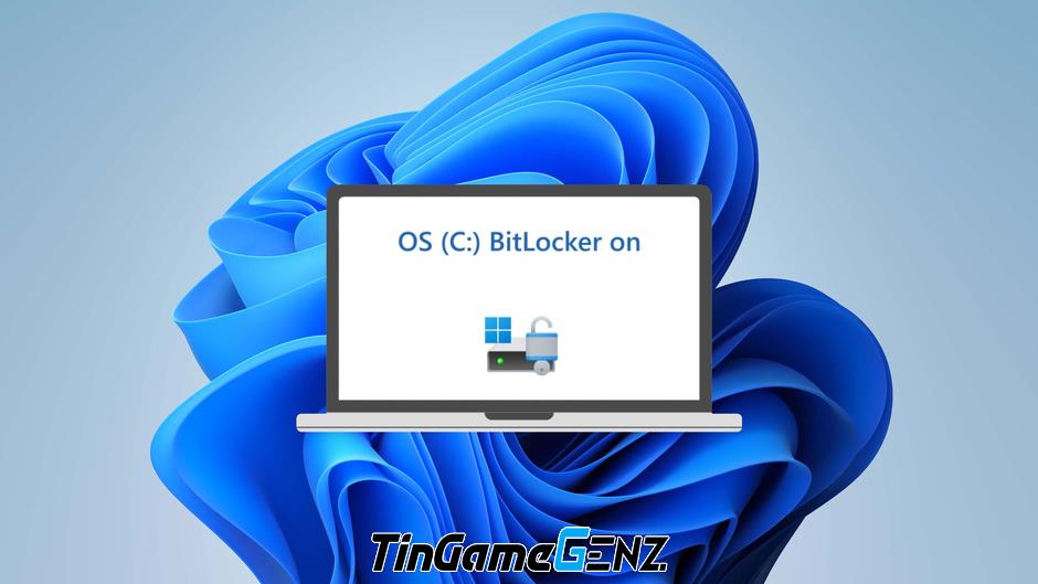 Tính bảo mật của Windows 11 gây vấn đề cho ổ cứng