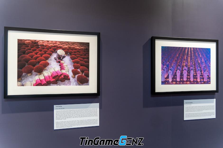 Triển lãm World Photography Awards: Bộ ảnh đa dạng và đẹp mắt