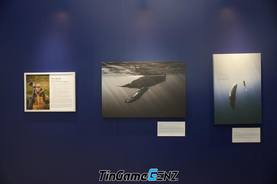 Triển lãm World Photography Awards: Bộ ảnh đa dạng và đẹp mắt