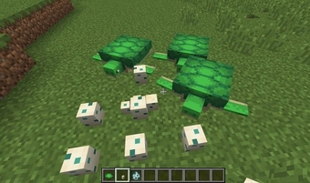 Cách sử dụng và nhân giống rùa trong Minecraft 2023