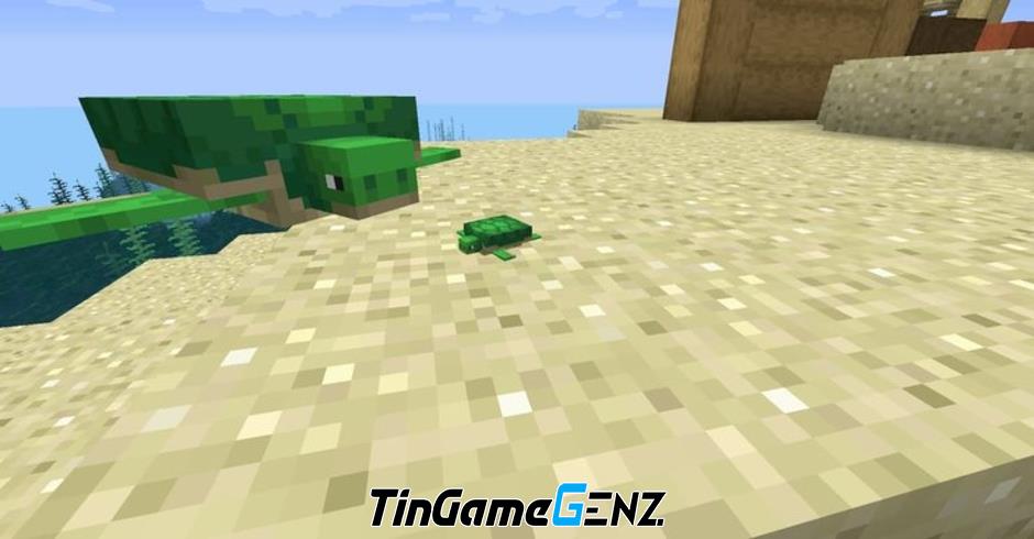 Cách sử dụng và nhân giống rùa trong Minecraft 2023