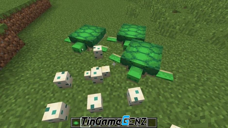 Cách sử dụng và nhân giống rùa trong Minecraft 2023