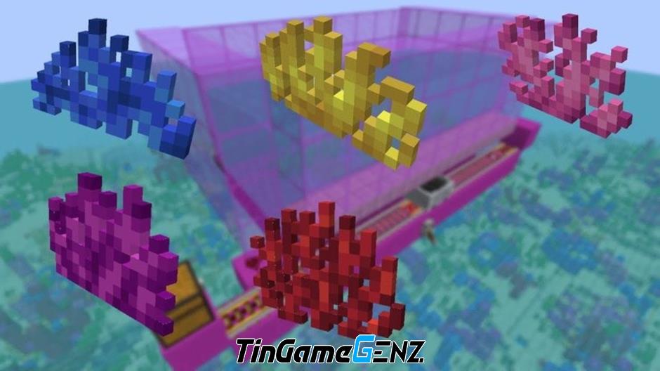 Cách thu thập và sử dụng Rạn San Hô trong Minecraft