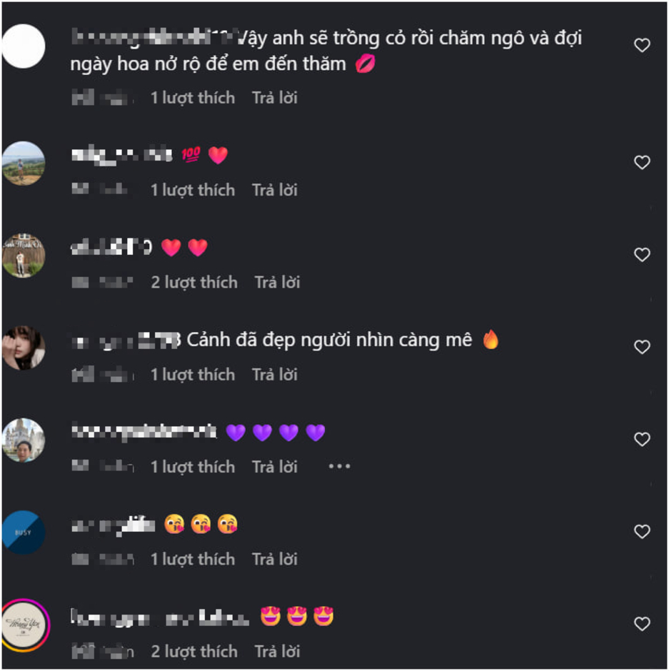 Cận Cảnh Bộ Ảnh Nghệ Thuật Cận Cảnh Bộ Ảnh Nghệ Thuật