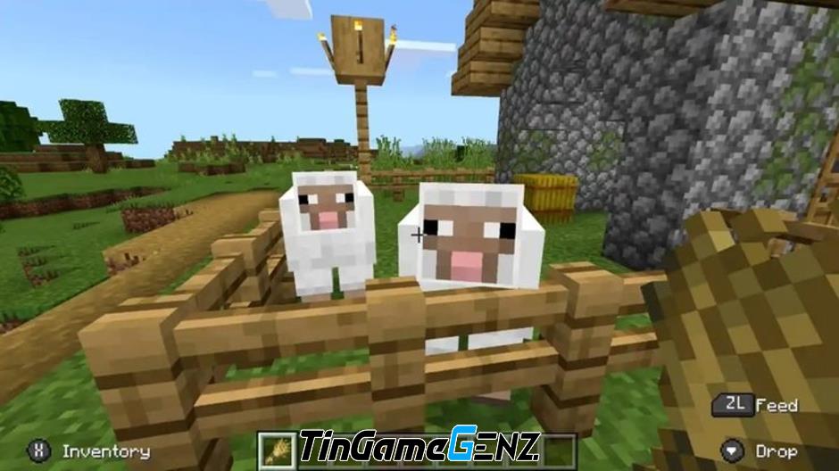 Hướng dẫn chơi Minecraft 2024: Kiếm thức ăn, chăn nuôi và nhân giống Cừu