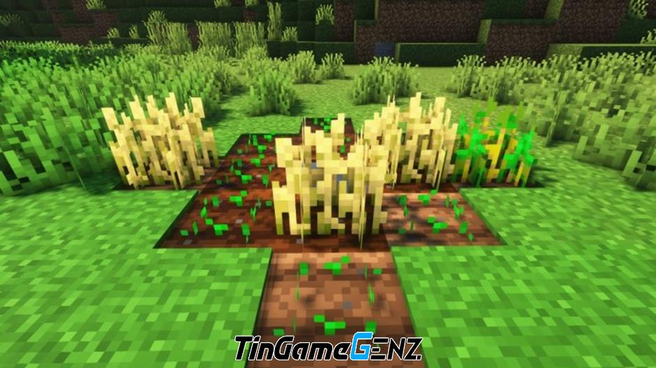 Hướng dẫn chơi Minecraft 2024: Kiếm thức ăn, chăn nuôi và nhân giống Cừu