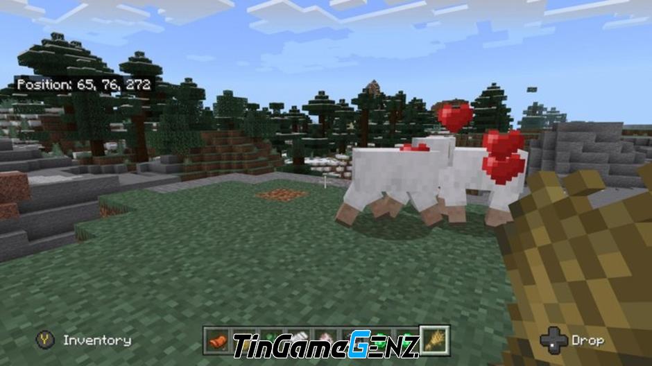 Hướng dẫn chơi Minecraft 2024: Kiếm thức ăn, chăn nuôi và nhân giống Cừu