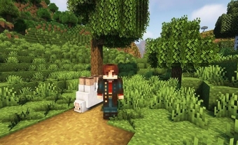 Hướng dẫn gắn thẻ tên trong Minecraft 2023