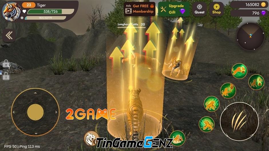 Khám Phá Thế Giới Hoang Dã Trong Immortal Tiger: Hành Trình Sinh Tồn Khốc Liệt Khám Phá Thế Giới Hoang Dã Trong Immortal Tiger: Hành Trình Sinh Tồn Khốc Liệt