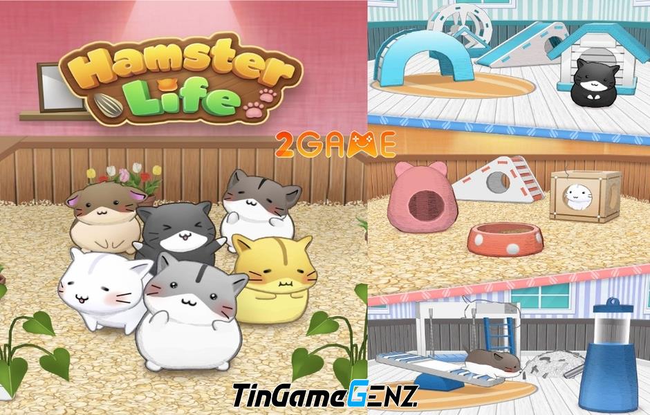 Sự trở lại thú vị của IP Hamster Life: Trò chơi Hamster Life match and home