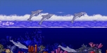 **"Ecco the Dolphin: Huyền Thoại Game Siêu Cổ Trở Lại Sau 25 Năm - Điều Gì Đang Chờ Đợi Người Hâm Mộ?"**