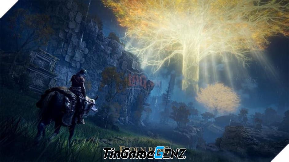 Game thủ khám phá bí ẩn mới sau hơn 1000 giờ chơi Elden Ring