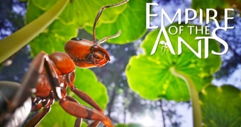 "Khám Phá Thế Giới Côn Trùng: Xây Dựng Đế Chế Độc Đáo Trong Game Empire of the Ants Trên Steam"