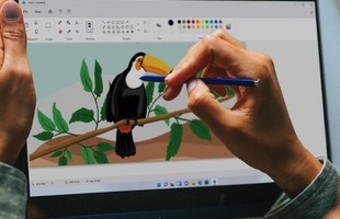 Microsoft Paint có thể xóa nền ảnh